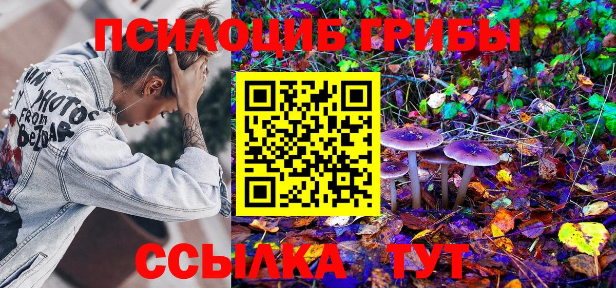 Псилоцибиновые грибы Psilocybine cubensis Электросталь